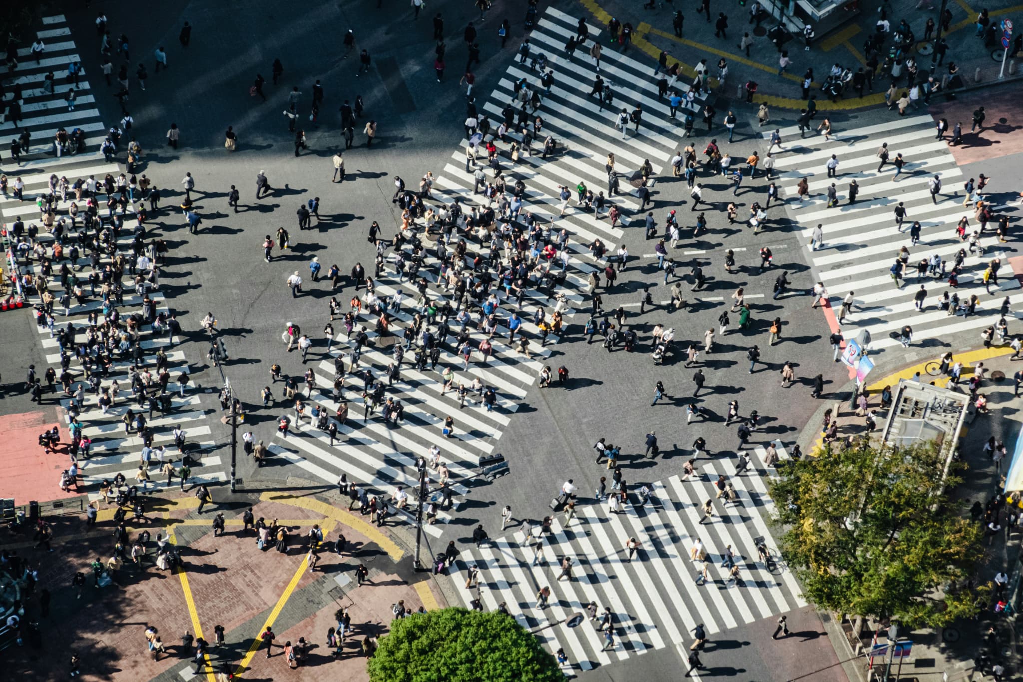 Shibuya Scramble Crossing