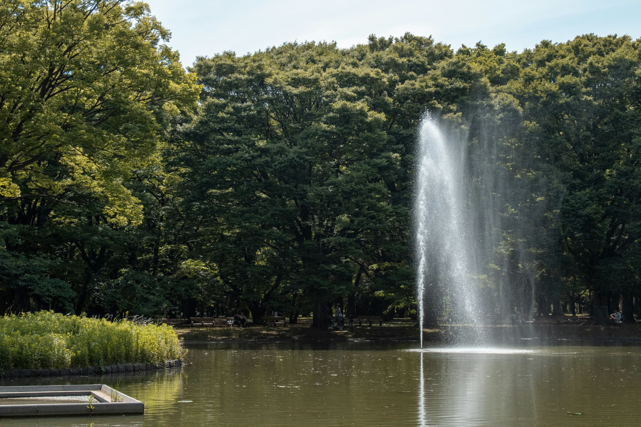 Yoyogi Park